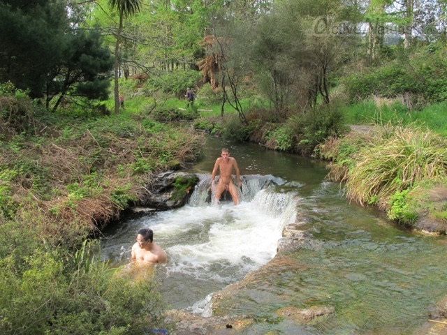 naturist 0002  Guysers Gaystay, Rotorua, New Zealand