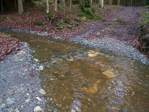 autumn fall water creek austria österreich wasser herbst bach autriche burgenland bernstein güns pechgraben