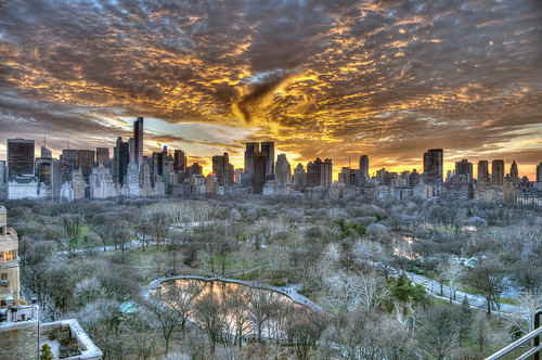 park nyc newyorkcity travel sunset vacation newyork skyline buildings landscape dusk centralpark manhattan