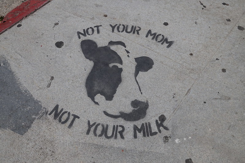 Not Your Mom, Not your Milk