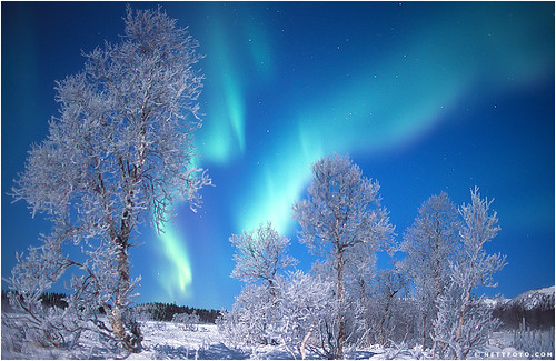 Aurora Borealis (Norway)