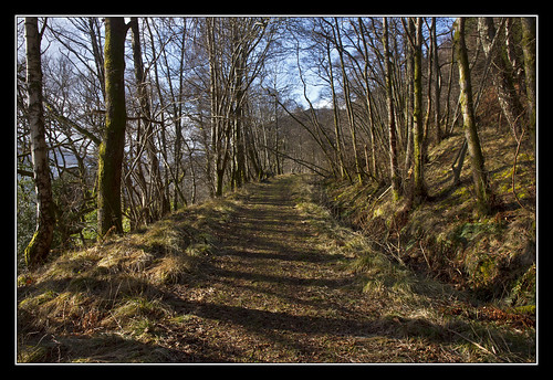 trees abandoned woodland path dismantledrailway lochearn stfillans perthkinross lochearnheadstfillanscomrierailway