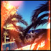 Ibiza - sea,palm,ibiza,palmtree