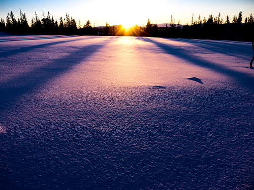 winter sunset long shadows langeskygger