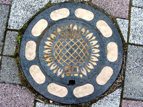 flower ichikawa hyogo japan manhole
