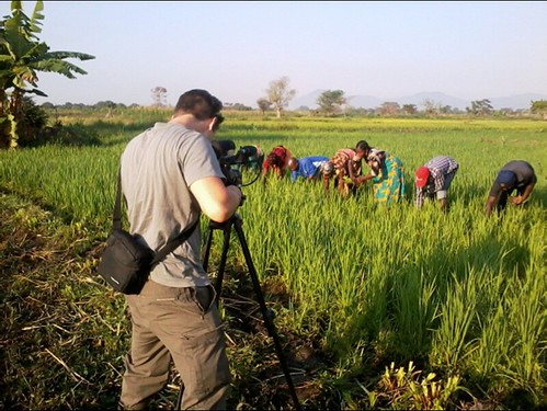 Capturing farmers hand-weeding while filming the farmer-to-farmers videos on labor-saving weed management technologies