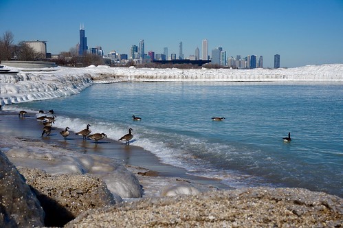 winter lake chicago ice beach sunny lakemichigan lakeshore lakefront winterwonderland burnhampark iceformations 31ststreetbeach chiberia