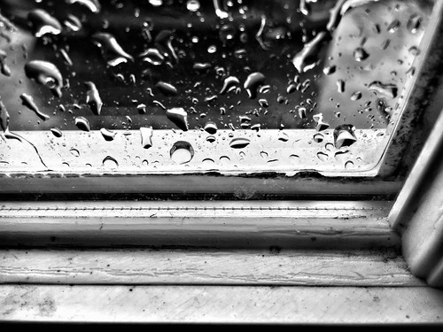 light weather droplets rain raindrops shotoniphone