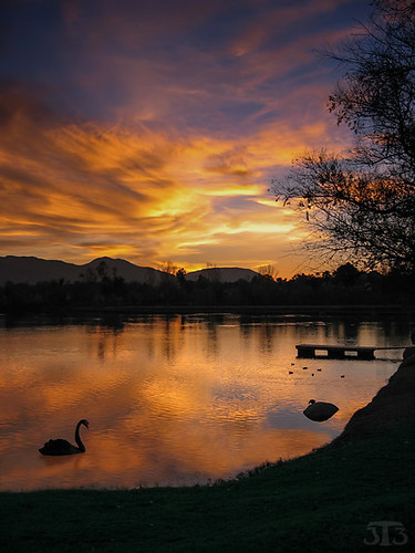 california sunset usa lake mountains tree rock clouds swan dock sandiego santeelakes