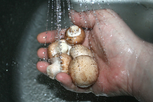 19 - Champignons waschen / Wash mushrooms