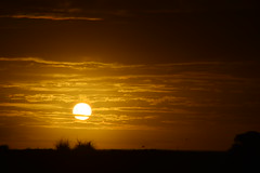 Sunrise in Gingin, Western Australia