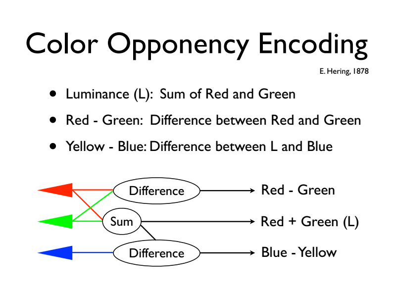 Color Opponency Encoding