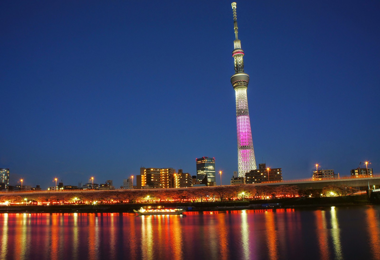 Tokyo Skytree and Cherry blossoms