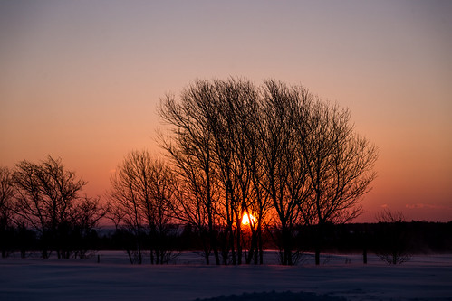 morning snow canada sunrise flickr cornwall princeedwardisland 气象weather 时候partsofaday 时间periodstimes 图源resouses