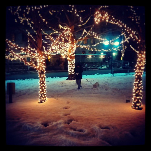 @genmae5 and Oscar on our walk through a snowy Lytle Park in downtown Cincinnati...