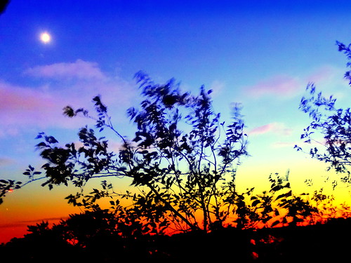 sunset newyork brooklyn image dmitriyfomenko sum32014