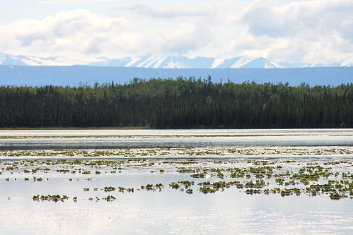 lake mountains alaska forest landscape wildlife national kenai refuge