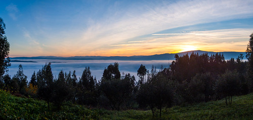 morning trees panorama cold fog sunrise hills blanket commute manhã montes nascerdosol nevoeiro manto fujifilms6500 ruinunes