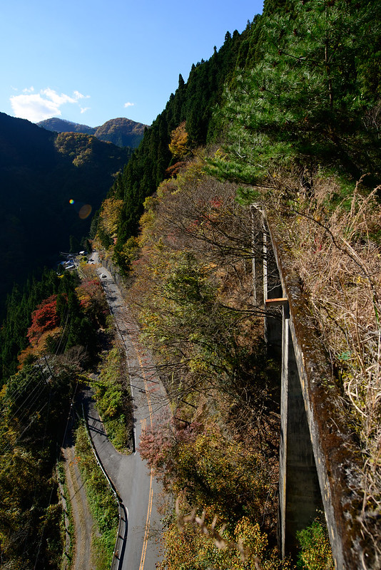 奥多摩・水根貨物線(東京都専用線小河内線)の秋
