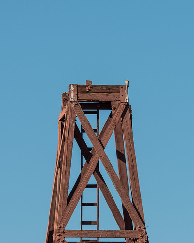 American Kestrel on tower
