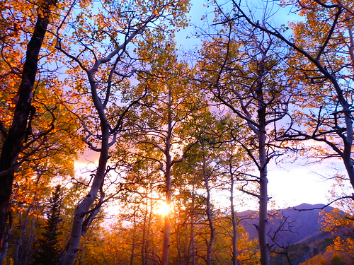 sunset mountain mountains fall golden utah ophir toole