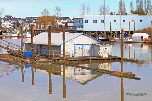 trees canada reflection water docks boats bc waterfront view britishcolumbia scenic lanscape ladner lowermainland