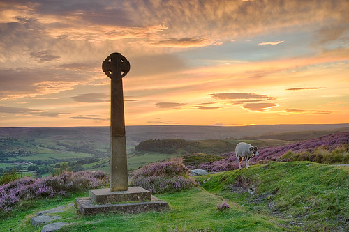 sunset england monument nationalpark sheep unitedkingdom dusk heather northyorkmoors rosedaleabbey