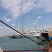 Ibiza - Private Yacht in the Marina