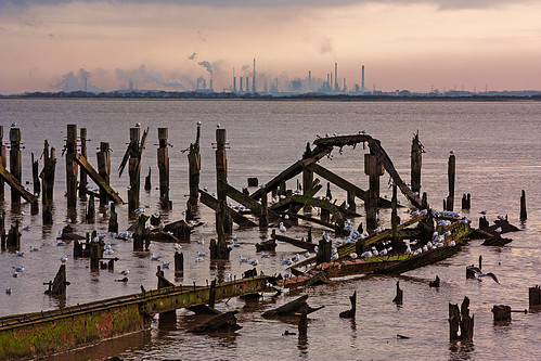 hull alexandradock jetty trestle timber wood iron steel metal decay rotten decrepit derelict disused humber river estuary water killingholme chimney smoke winter gulls birds roost pink industry refinery sydyoung sydpix