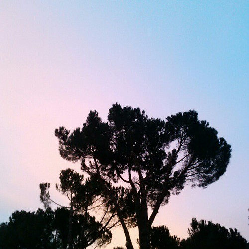 trees sky alberi clouds sunrise morninglight nuvole alba cielo mattina meningi uploaded:by=flickstagram instagram:photo=378615167612032396247096476