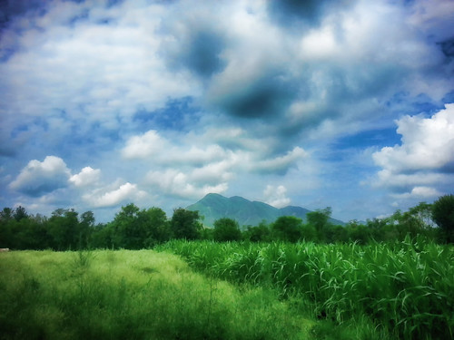 pakistan mountain green clouds cornfield samsung s3 soliman kpk maini ajumeer