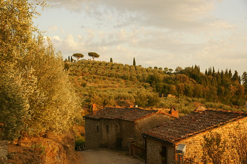 italien italy landscape italia tuscany toscana landschaft toskana montecchio wvons
