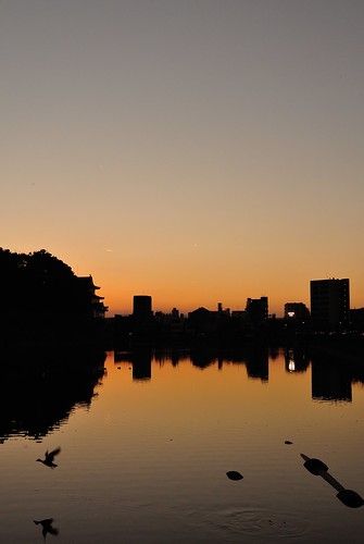 An evening scene of Nagoya castle 2014.11 No.1.
