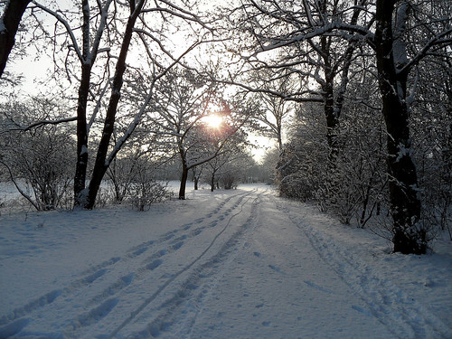 Verschneiter Weg im Park