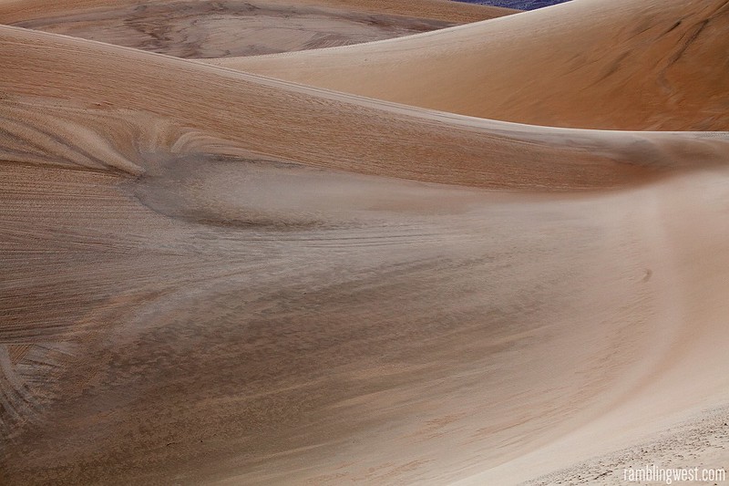 Dune Texture