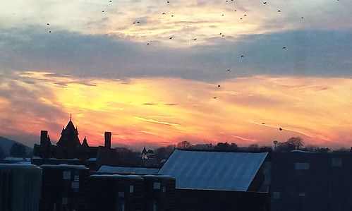 winter sunset sky rooftop birds clouds pa crows bethlehem wintrysunset samsunggalaxys4