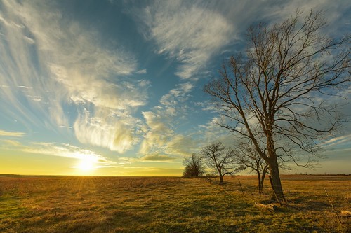 sunset tree clouds fence lens nikon open horizon wide wideangle pasture kansas prairie nikkor cirrus flinthills fenceline oogle 1424 d810