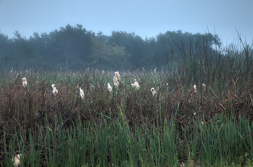 canon louisiana unitedstates coastal wetlands marsh hdr photomatix lafourcheparish goldenmeadow canon6d ilobsterit
