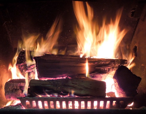 Nothing like relaxing by a warm fire on a cold day.