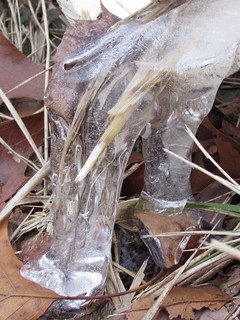 Ice and Straw