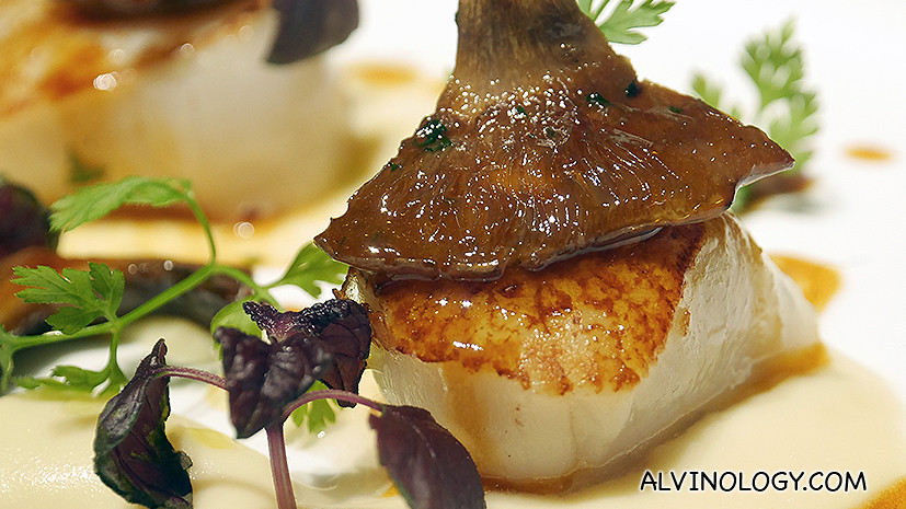 Close-up of the scallop and mushroom 