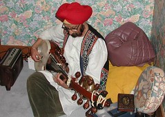 Long-Necked Lute, Sympathetic Strings, North India (Hindustani)