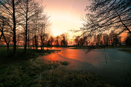 trees winter sunset red tree canon landscape mirror evening scenery drohiczyn cesarz marcelxyz