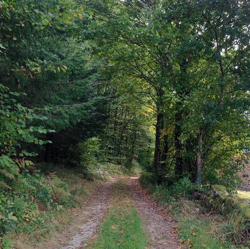 chemin campagne trail
