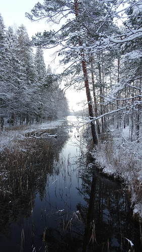 winter stream december talvi joki joulukuu
