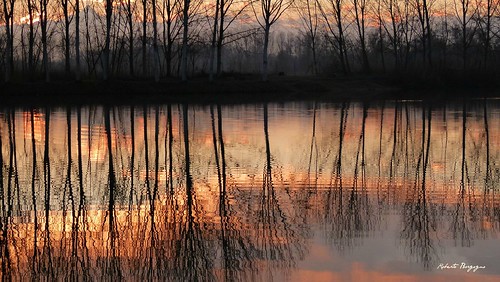 river tramonto fiume piemonte po inverno paesaggio gennaio waterscape pioppi monviso carignano fiumepo tramontoinvernale landscaepe pioppidinverno