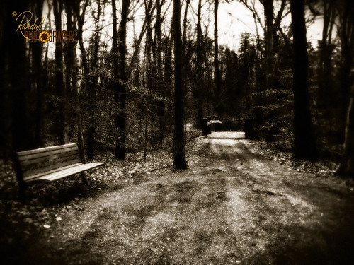 park monochrome bench md unitedstates path dream maryland randall ridgely adkinsarboretum ridgelymaryland randallphotography