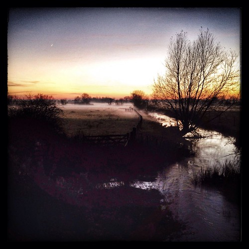 trees winter sunset sky mist fog clouds river stream moody mysterious 365 nuneaton a444 iphone5 hipstamatic uploaded:by=flickrmobile flickriosapp:filter=nofilter