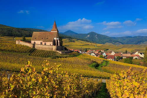autumn france mountains church golden vineyard village wine alsace vosges fortified hunawihr lesplusbeauxvillagesdefrance