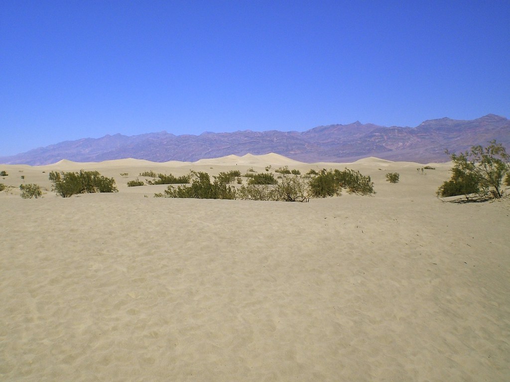 Flat Sand Dunes at Death Valley National Park